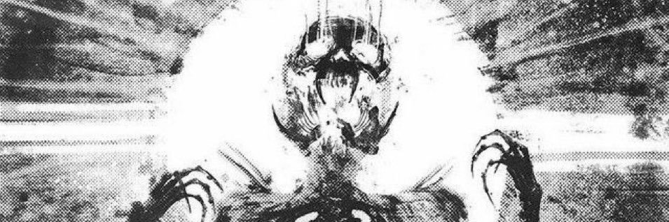 Dru banner