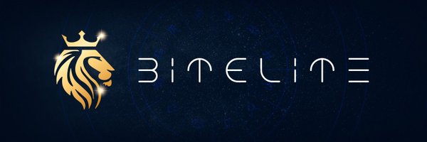 BitElite17 Profile Banner