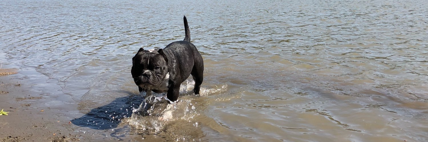 Taylor Headon banner