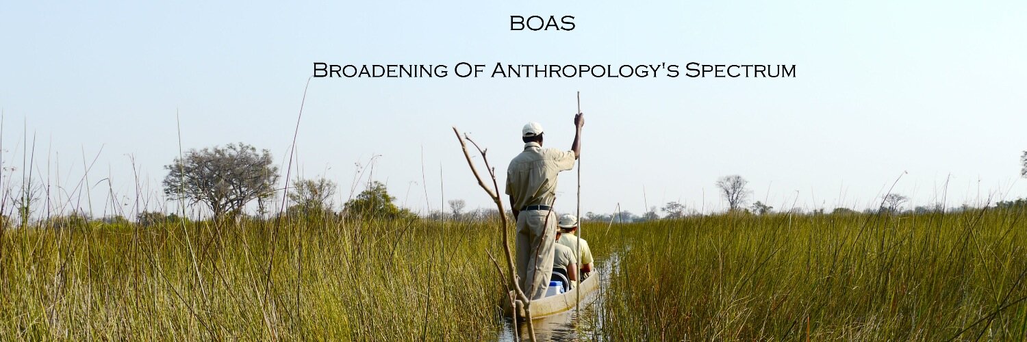 BoasNetwork's profile banner image