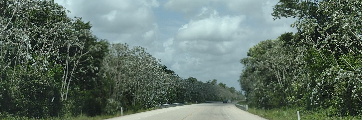 AngelesFCasas's profile banner image