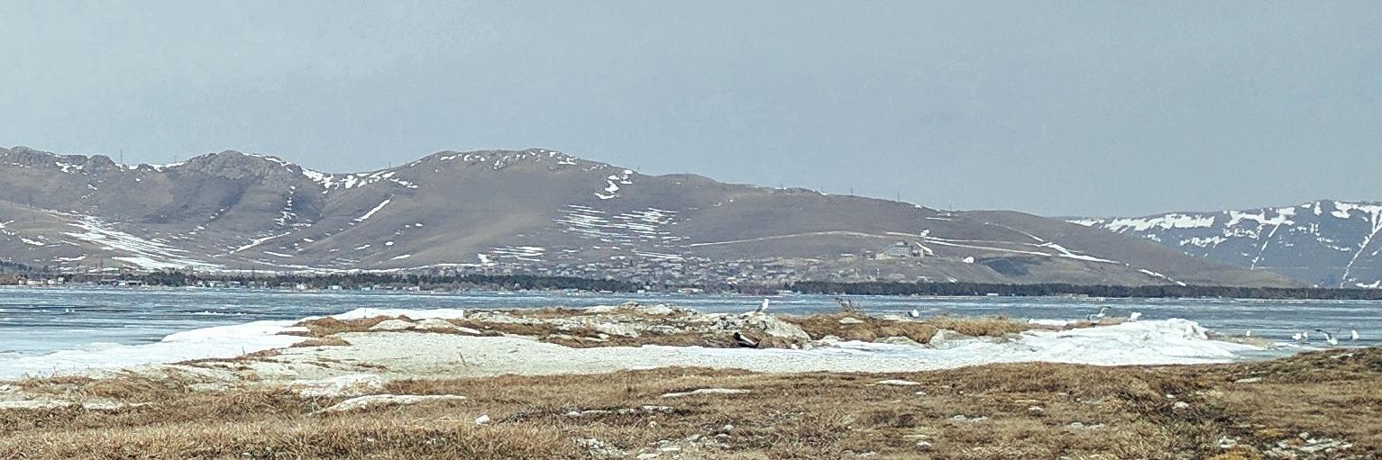 Jonas Simmerlein banner