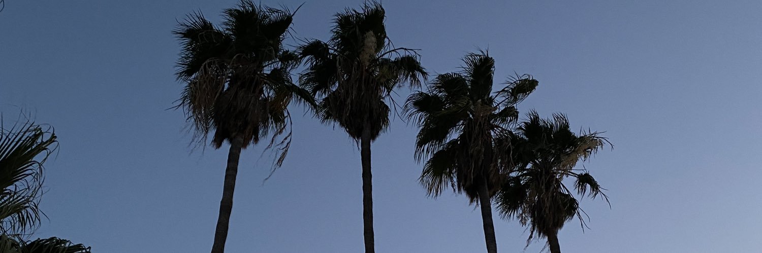 bellaxtela's profile banner image