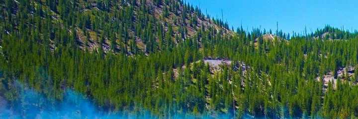 SeebSg's profile banner image