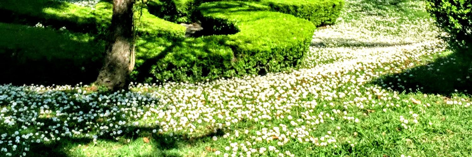 LadyDiazepam's profile banner image