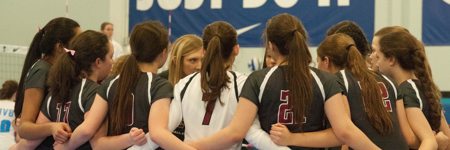 Minnesota Select banner