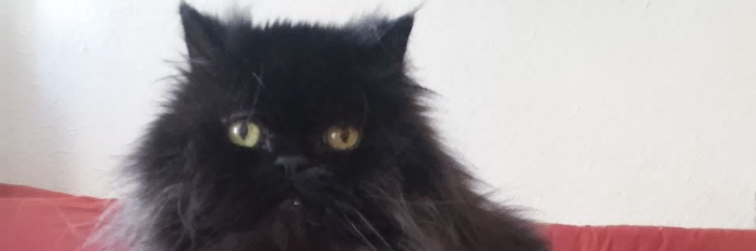 DieguitoAmor's profile banner image