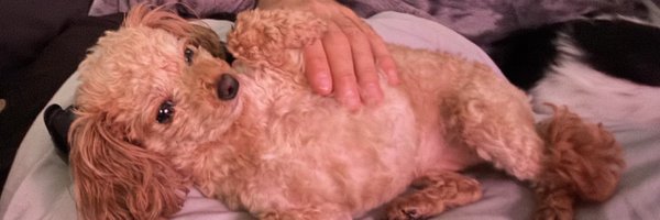 CyborgMarc Profile Banner