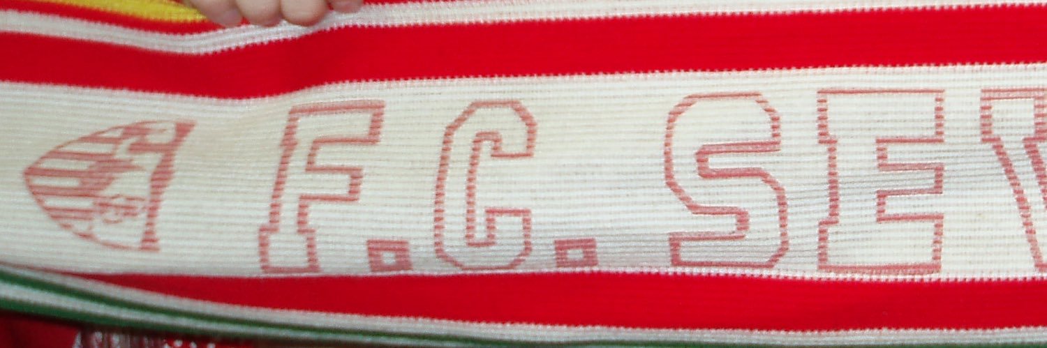 tortuecano's profile banner image