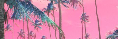 fijicmdwn's profile banner image
