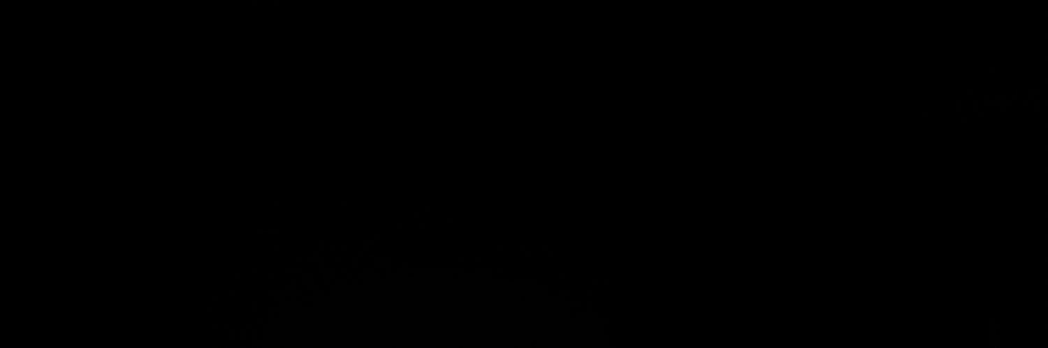 bielhfl's profile banner image