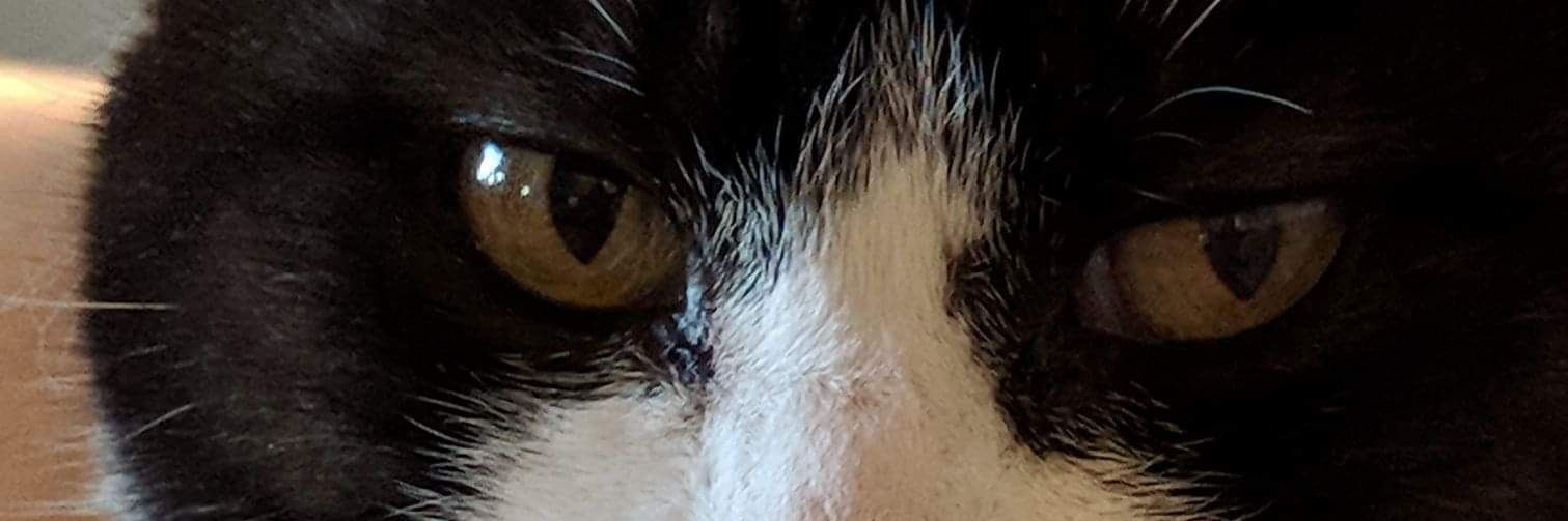 Pat_Dunn32's profile banner image
