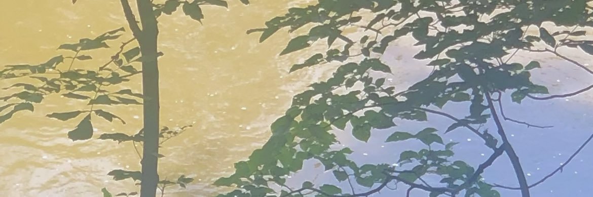 curlsandclouds's profile banner image