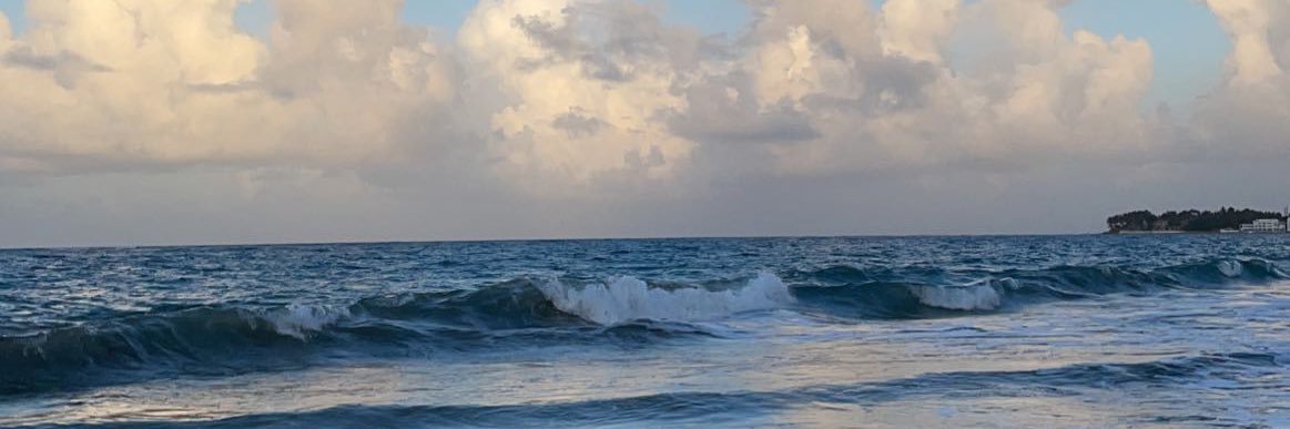 rojacattt's profile banner image