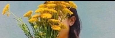 💛عفراء banner