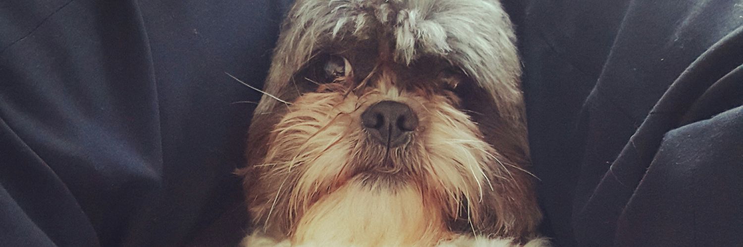 Vickipeeds's profile banner image