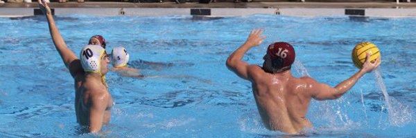 AccessPolo Profile Banner