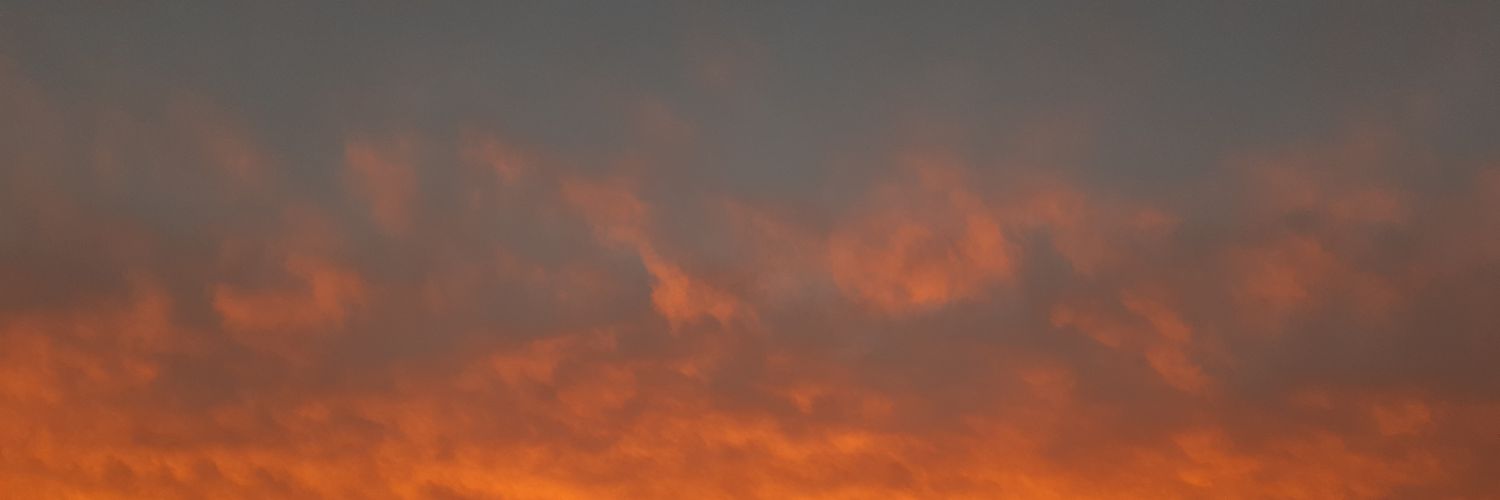 prrispi's profile banner image