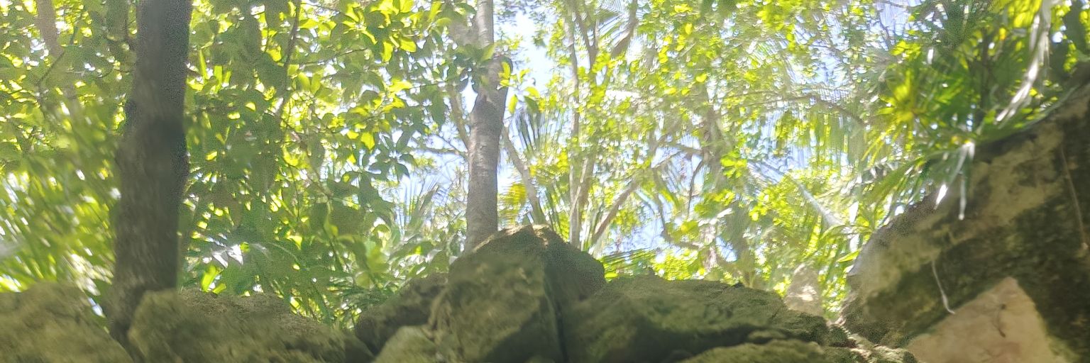 saria_'s profile banner image