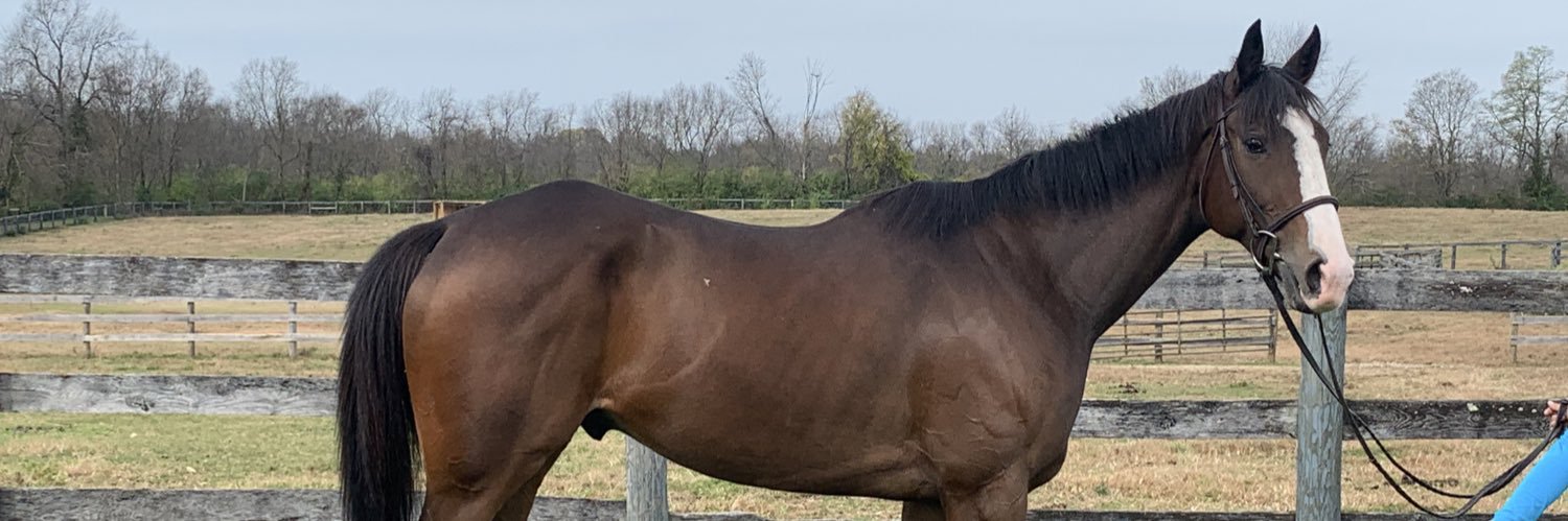 CANTER Kentucky banner