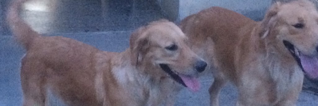 sjmr27's profile banner image