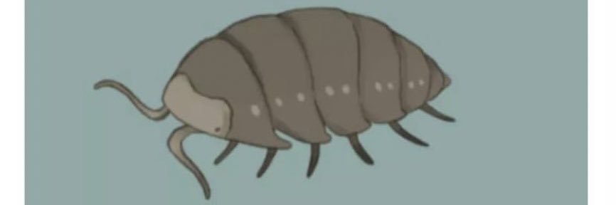 Critical_Sponge's profile banner image