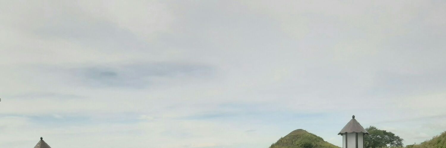 Vsho_12's profile banner image