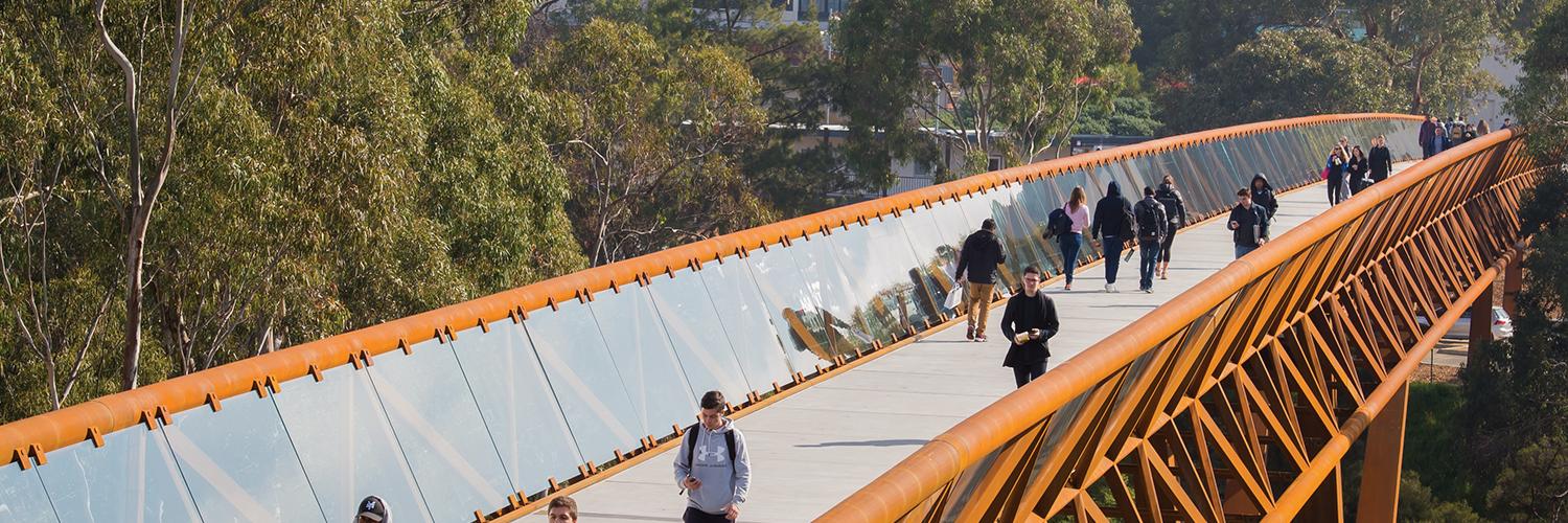 Prof Iain Martin banner