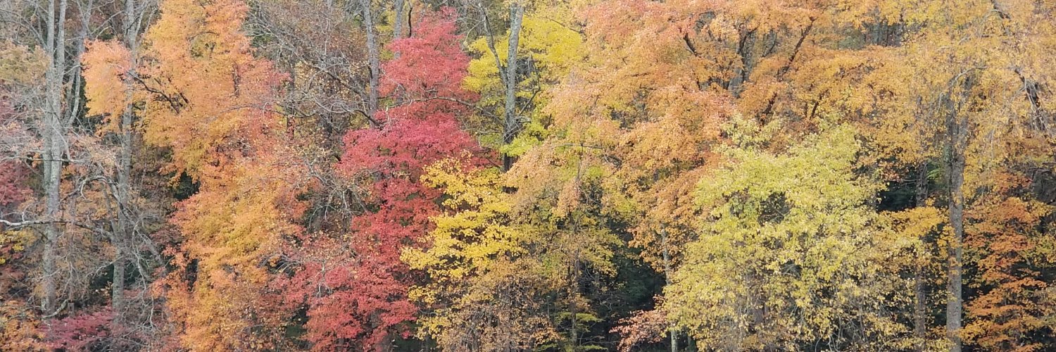 shanbarrett's profile banner image