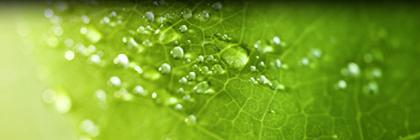 AI_BioAB's profile banner image