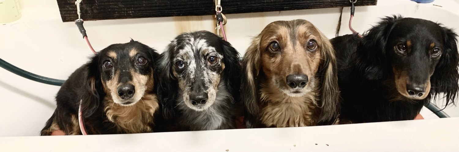 The Goose Father banner