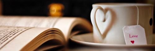Brandy the Bookworm banner