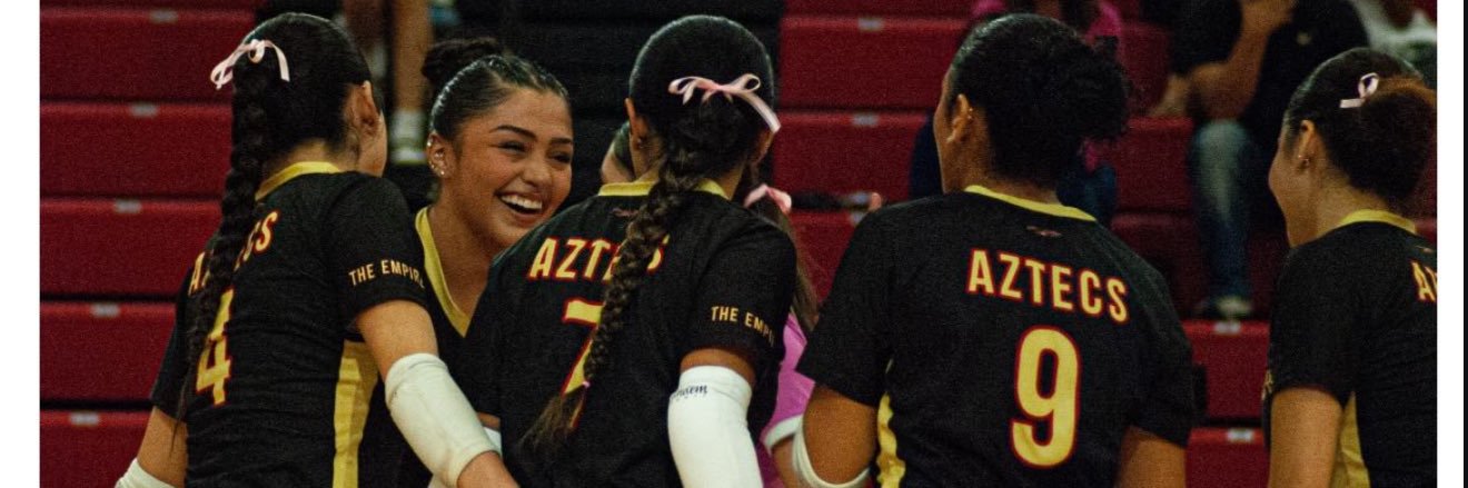 Sandy Portillo banner