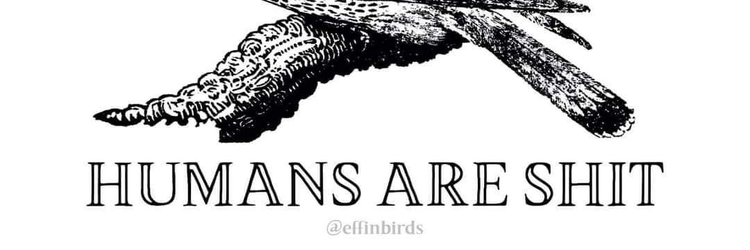fallenevanfan's profile banner image