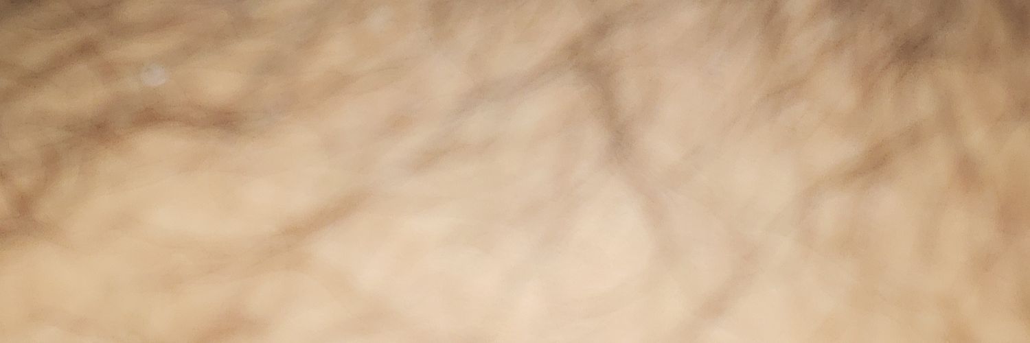 freddy75722744's profile banner image