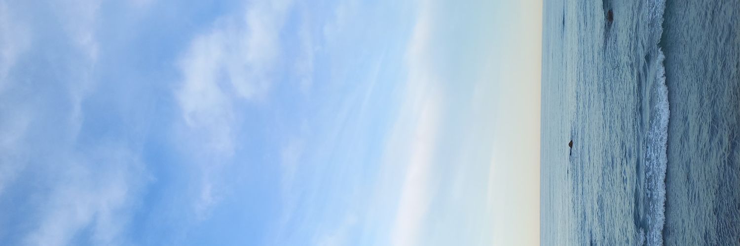 luispelloy's profile banner image