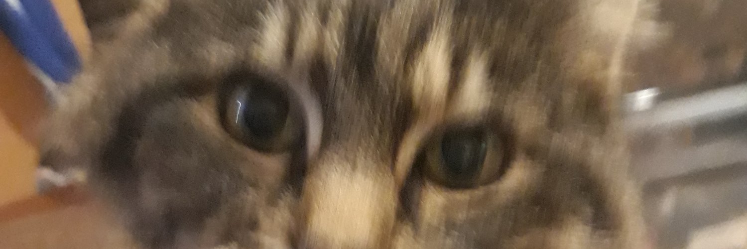 bedoboy's profile banner image