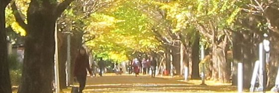 中西けんじ　衆議院議員・自由民主党神奈川三区（鶴見区、神奈川区）支部長's banner