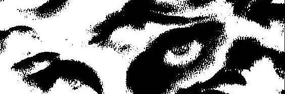 t banner