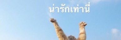Im13634's profile banner image