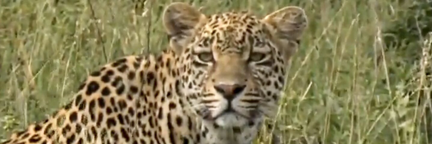 agrod43's profile banner image