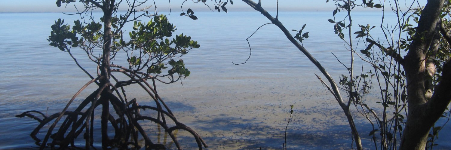 Neil_Saintilan banner