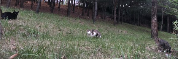 qwert20230 Profile Banner