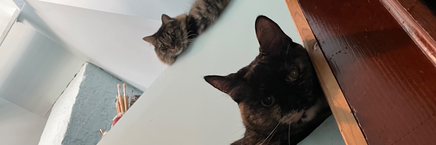 morgan_9_'s profile banner image