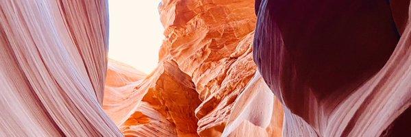 veronicantran Profile Banner