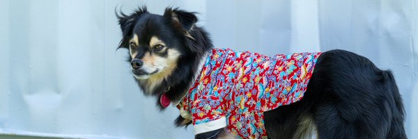 chocotycho Profile Banner