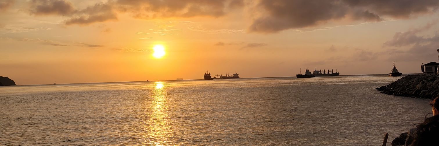 Carolina ☀️ banner