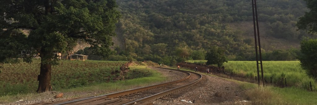 racoonmx's profile banner image