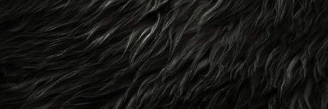 ovejamentality's profile banner image
