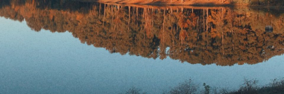 ZVillermin's profile banner image
